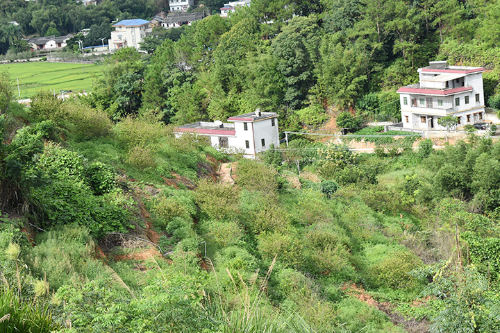 李果基地